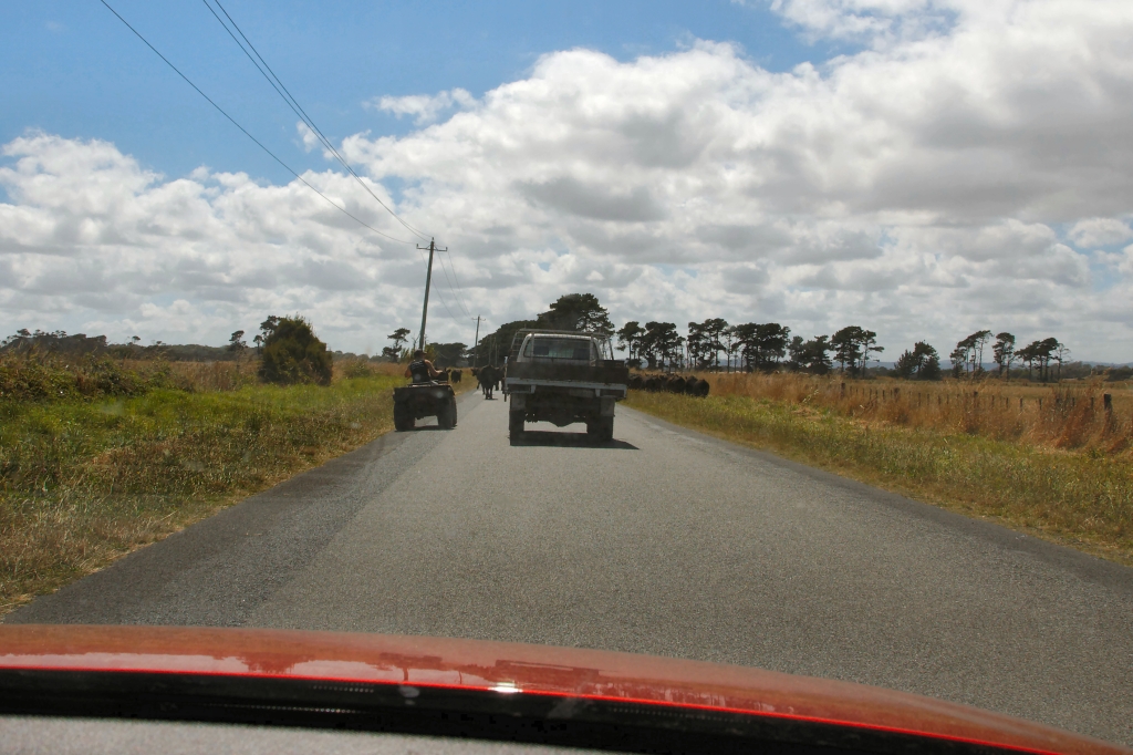 03 - Narawtapu NP (17).jpg